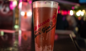 Primavera - Craft Beer & Gin Festival