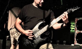 PIGS PARLAMENT, Slovenia, 2019