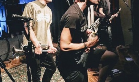 PIGS PARLAMENT, Slovenia, 2019