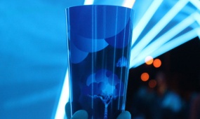 Visualia  - festival of light