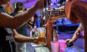 5. Medulin craft beer festival