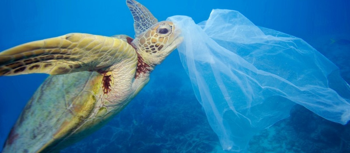 Greenpeace protiv plastike za jednokratnu upotrebu