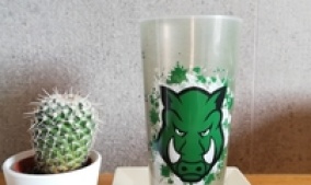 WILD HOGS - Rugby club, Slovenia